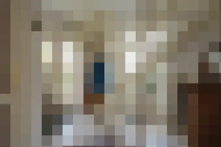 Koningstraat 51 Rossum thumbnail 10