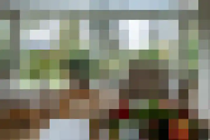 Koningstraat 51 Rossum thumbnail 18