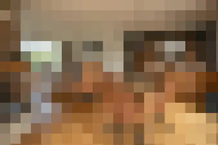 Koningstraat 51 Rossum thumbnail 20