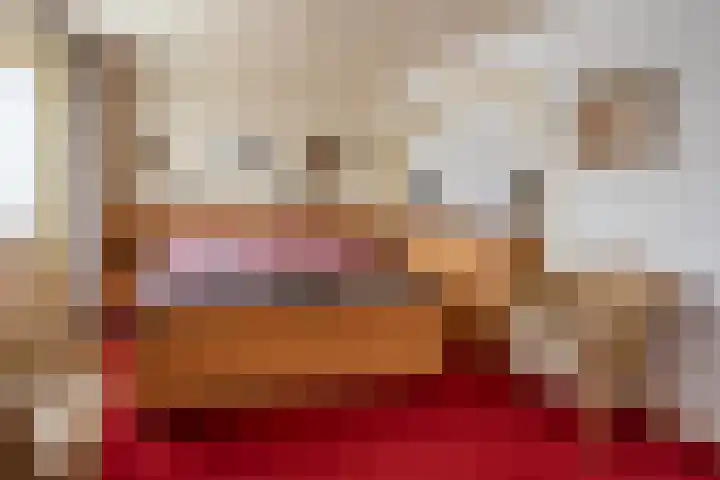 Koningstraat 51 Rossum thumbnail 32