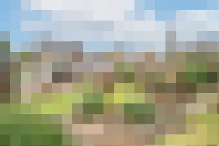 Koningstraat 51 Rossum thumbnail 6