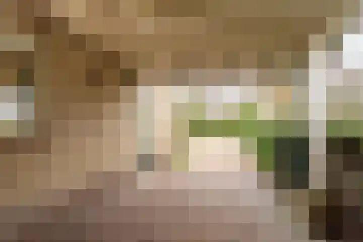 Koningstraat 51 Rossum thumbnail 8
