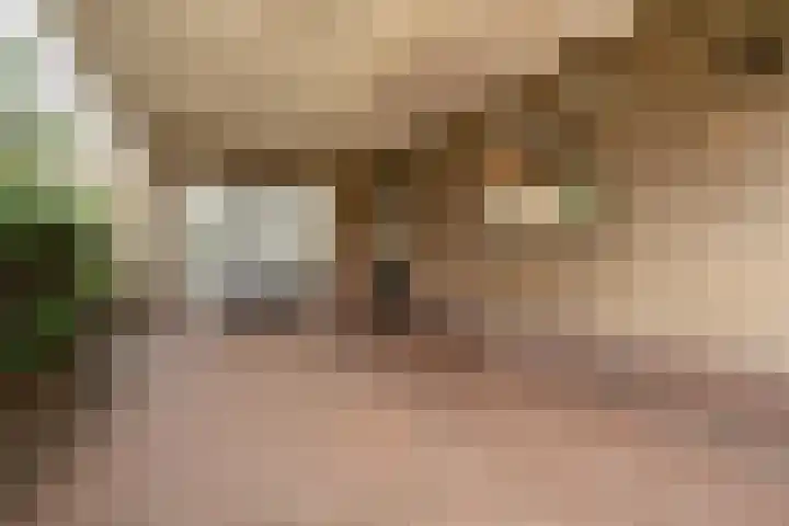 Koningstraat 51 Rossum thumbnail 9