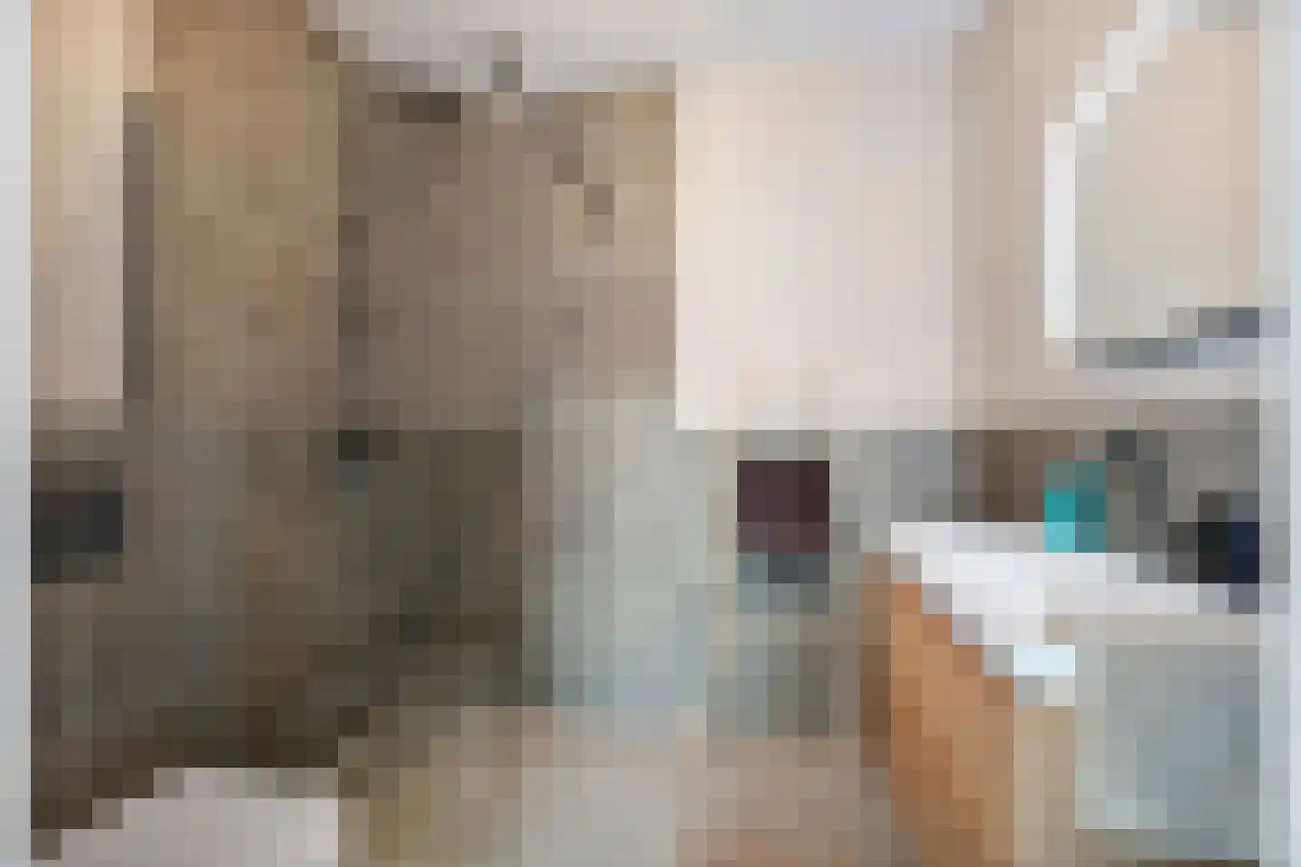 Koningstraat 53 E Afferden thumbnail 25