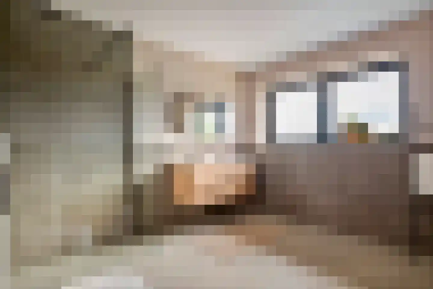 Koningstraat 53 E Afferden thumbnail 32
