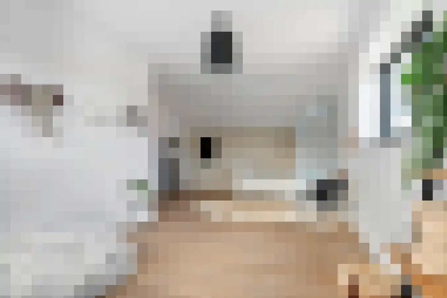Koningstraat 53 E Afferden thumbnail 40