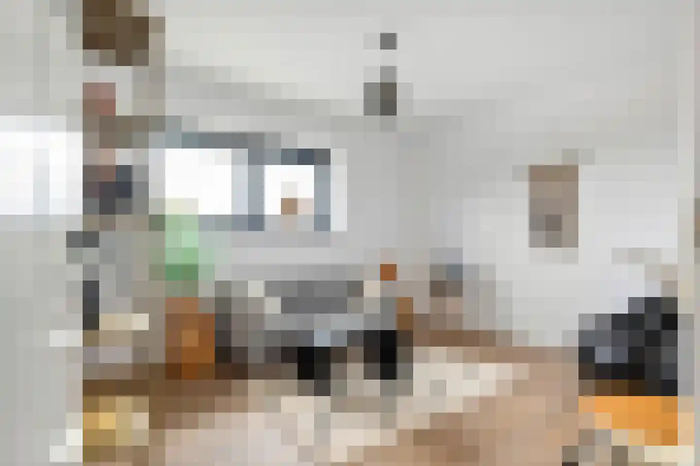 Koningstraat 53 E Afferden thumbnail 41