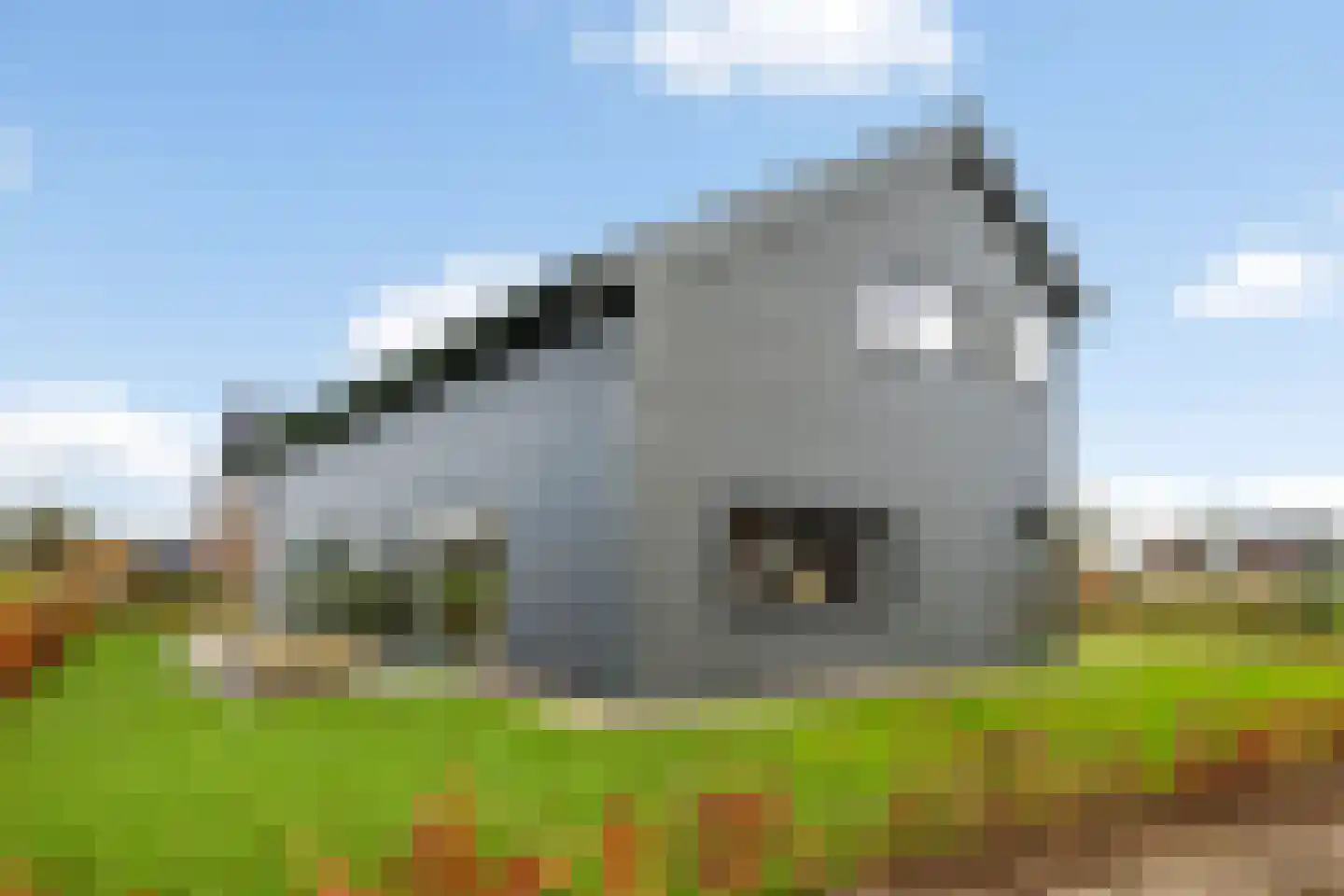 Koningstraat 53 E Afferden thumbnail 55