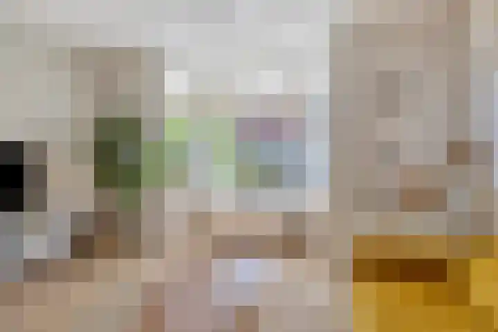 Koningstraat 55 Leiderdorp thumbnail 11