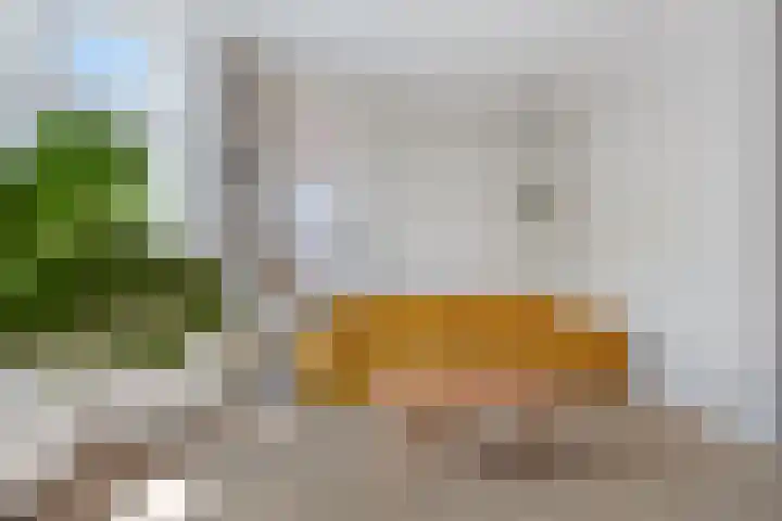 Koningstraat 55 Leiderdorp thumbnail 15