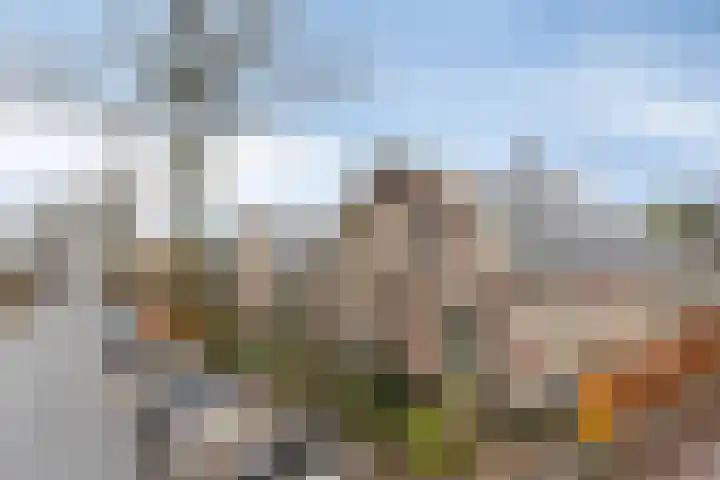 Koningstraat 62 Apeldoorn thumbnail 4