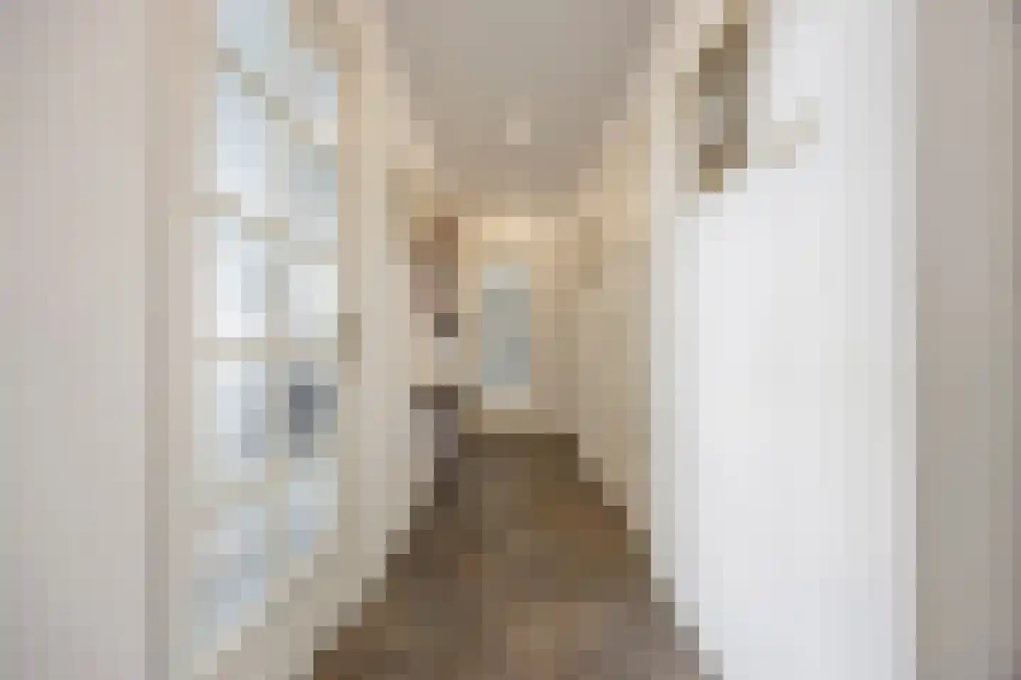 Koningstraat 64 3 Arnhem thumbnail 8