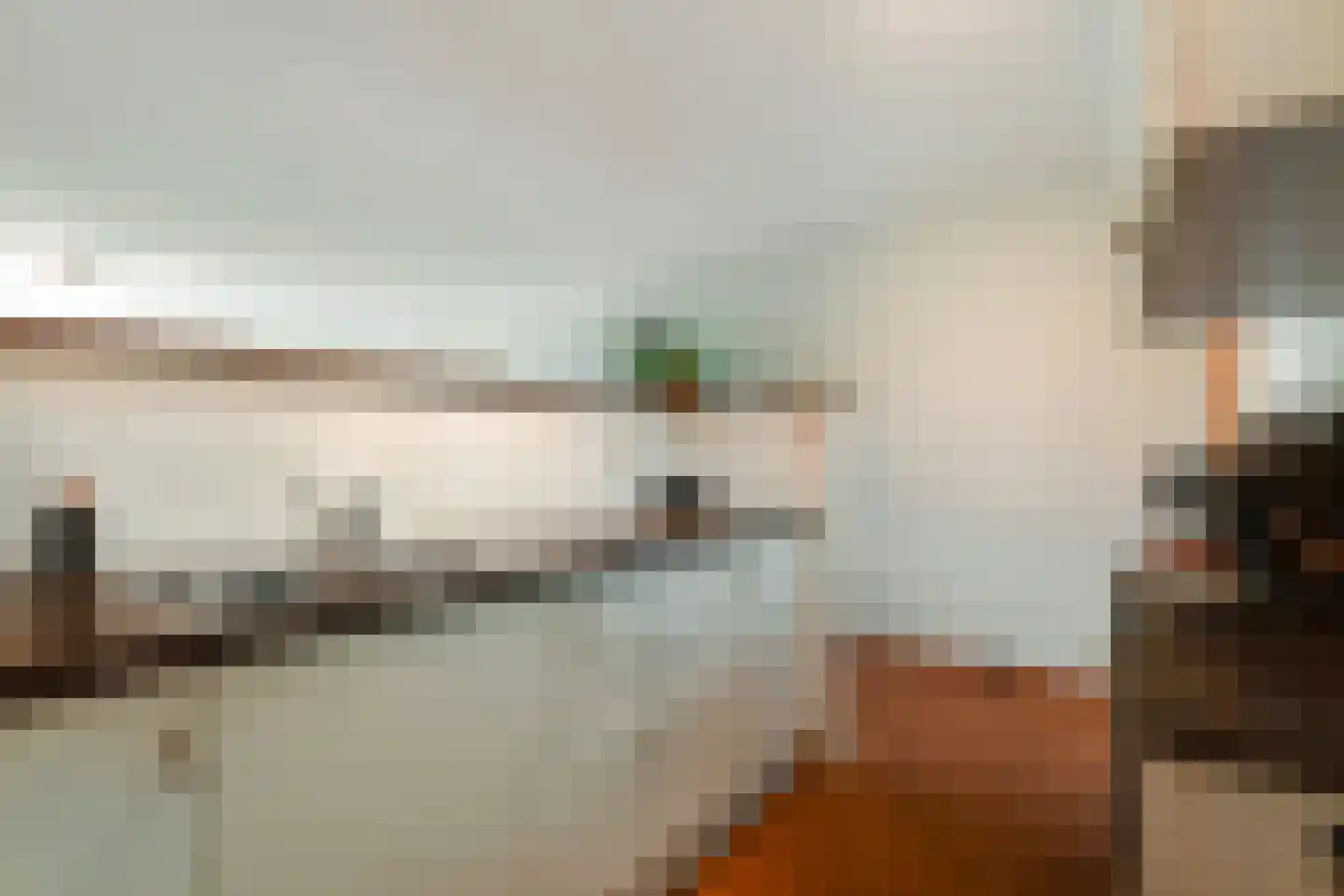 Koningstraat 64 Hippolytushoef thumbnail 18