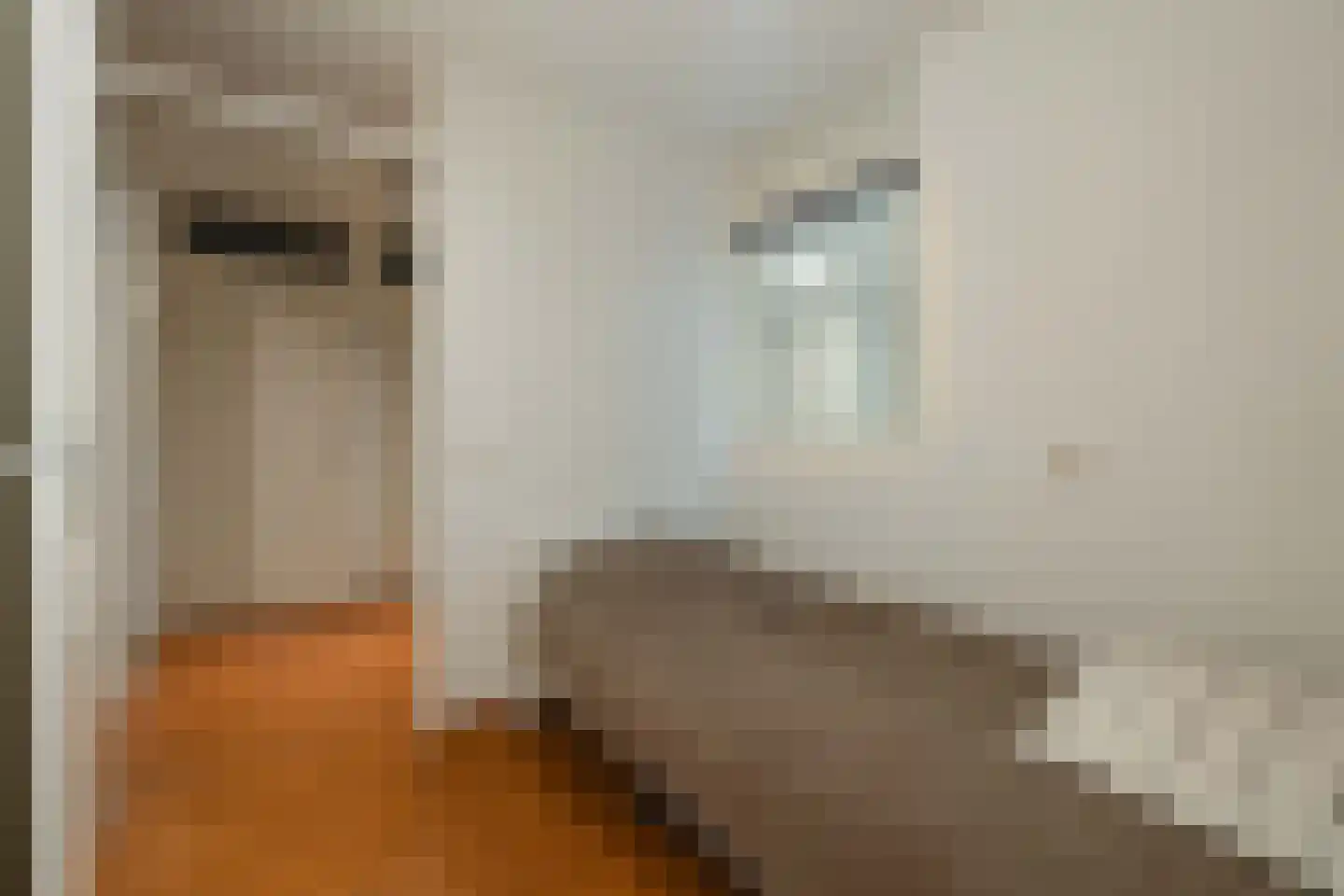Koningstraat 64 Hippolytushoef thumbnail 26