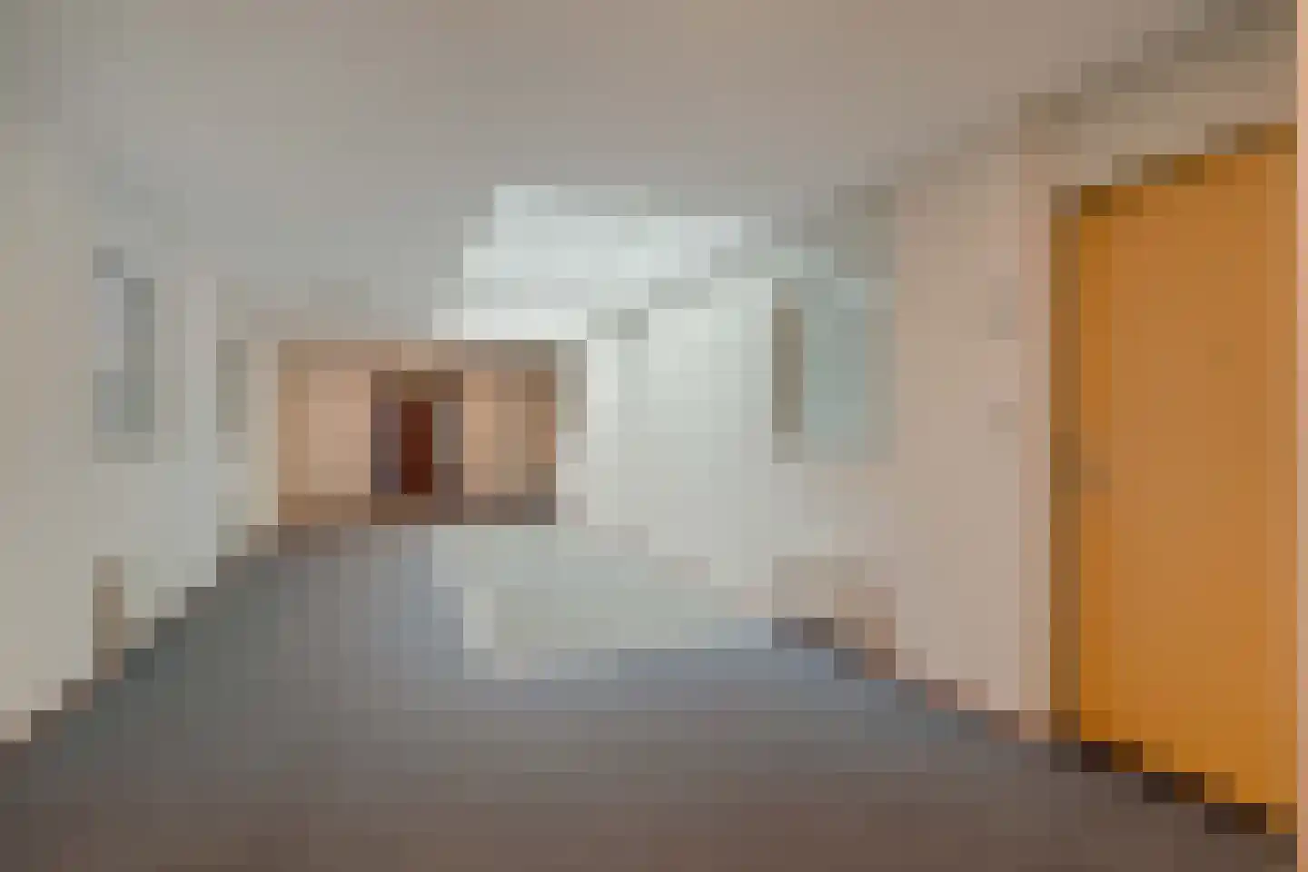 Koningstraat 64 Hippolytushoef thumbnail 6