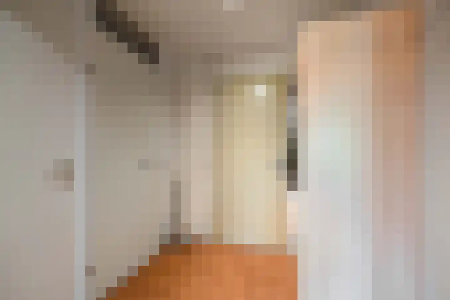 Koningstraat 64 Hippolytushoef thumbnail 7