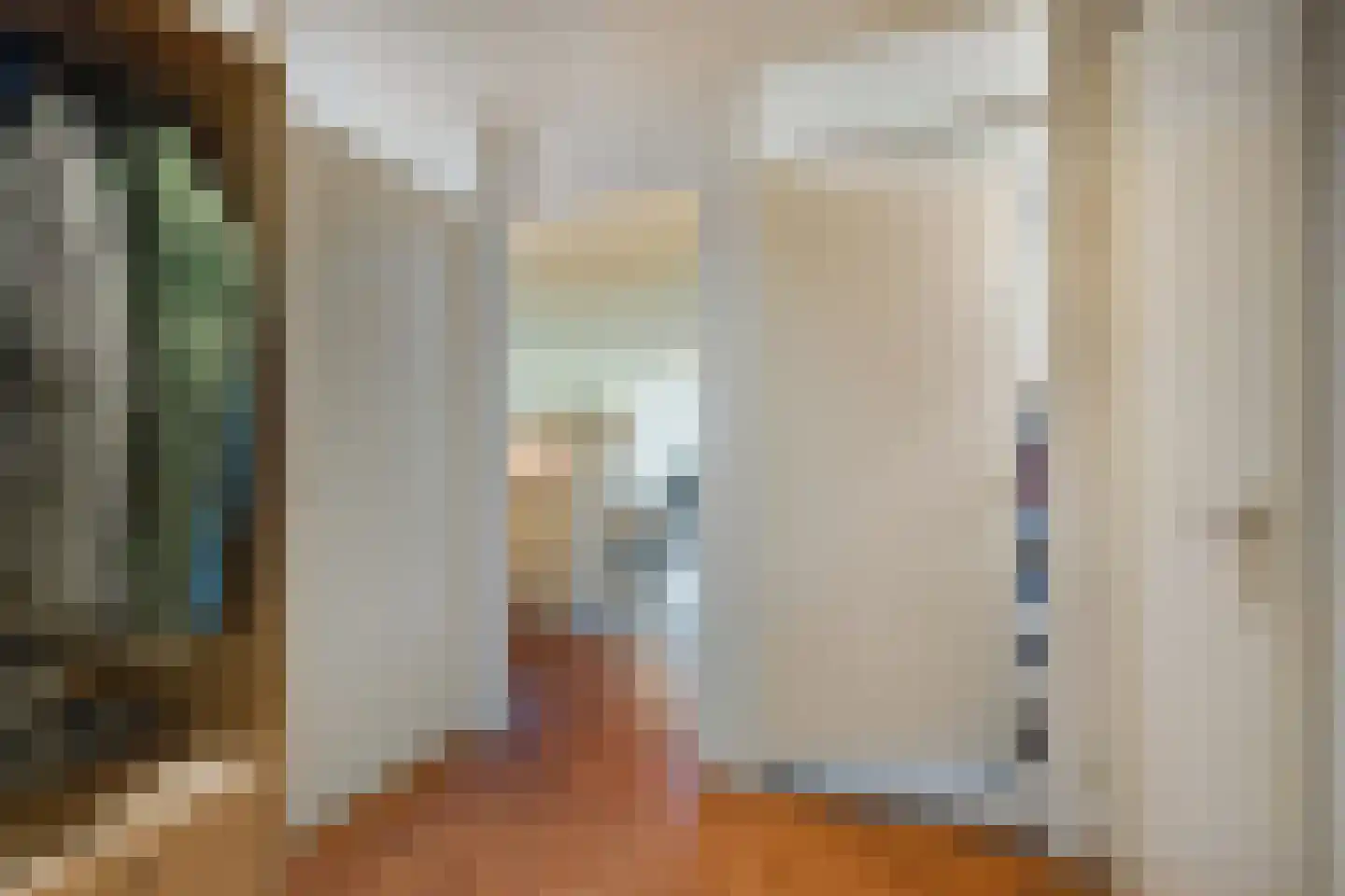 Koningstraat 64 Hippolytushoef thumbnail 8