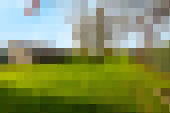 Koningstraat 7 a Ewijk thumbnail 87