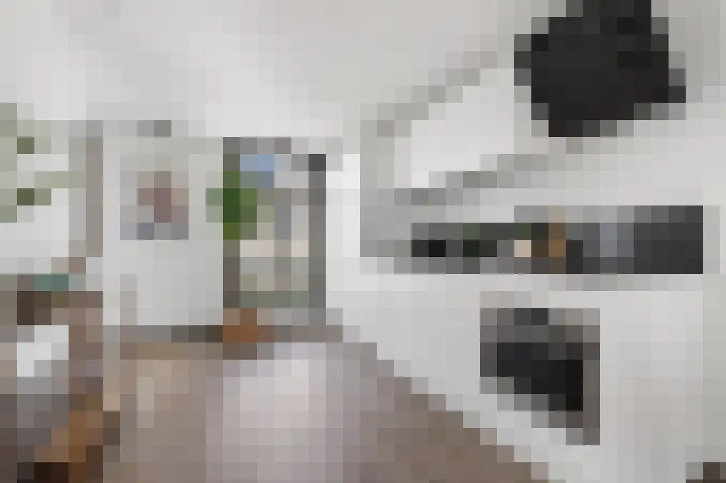 Koningstraat 72 4 Arnhem thumbnail 11