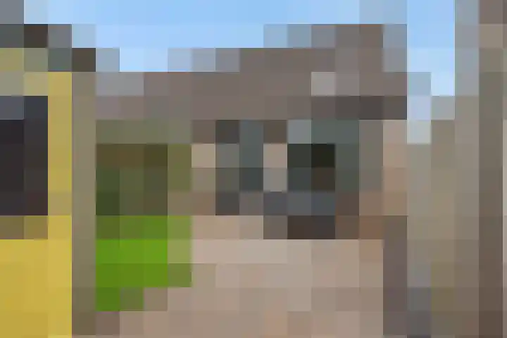Koningstraat 79 Rosmalen thumbnail 13