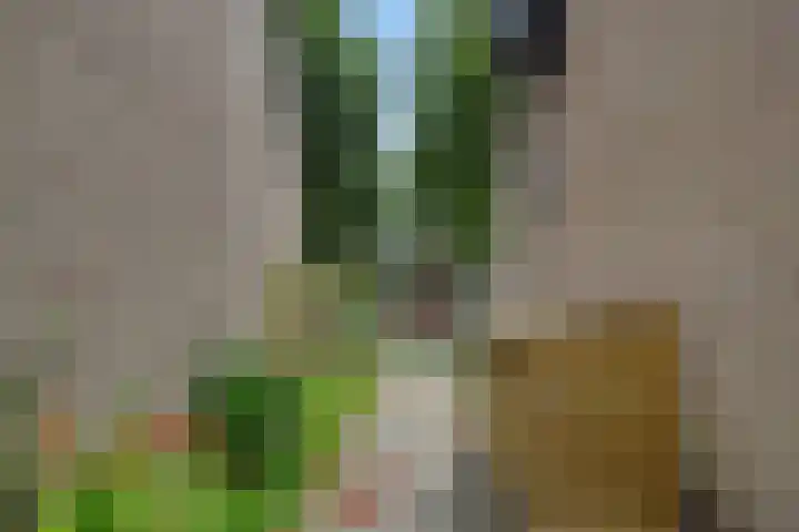 Koningstraat 79 Rosmalen thumbnail 31