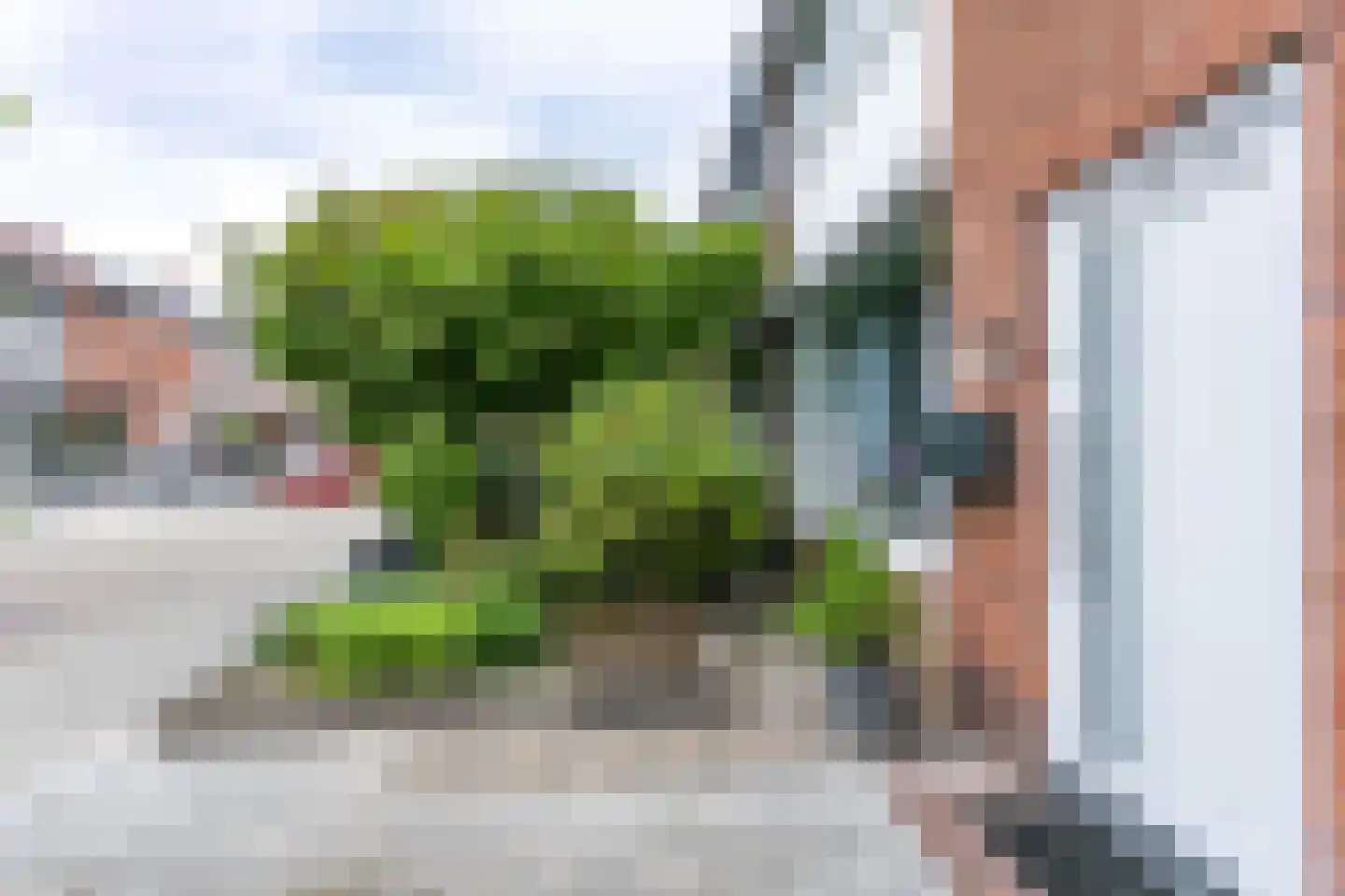 Koningstraat 9 Brunssum thumbnail 47