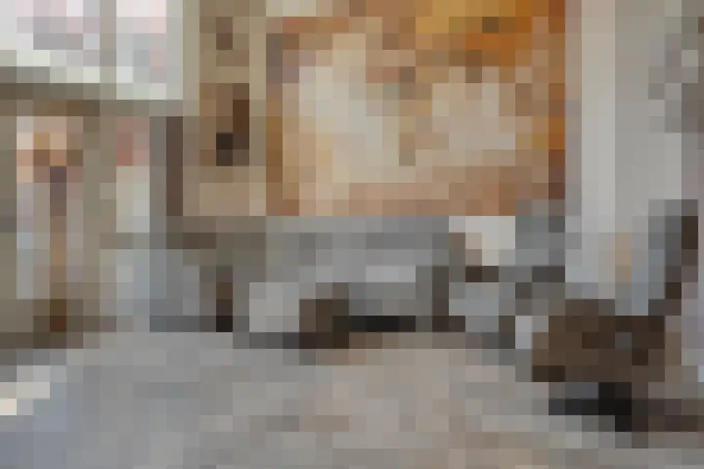 Koningsvaren 10 Hendrik-Ido-Ambacht thumbnail 11