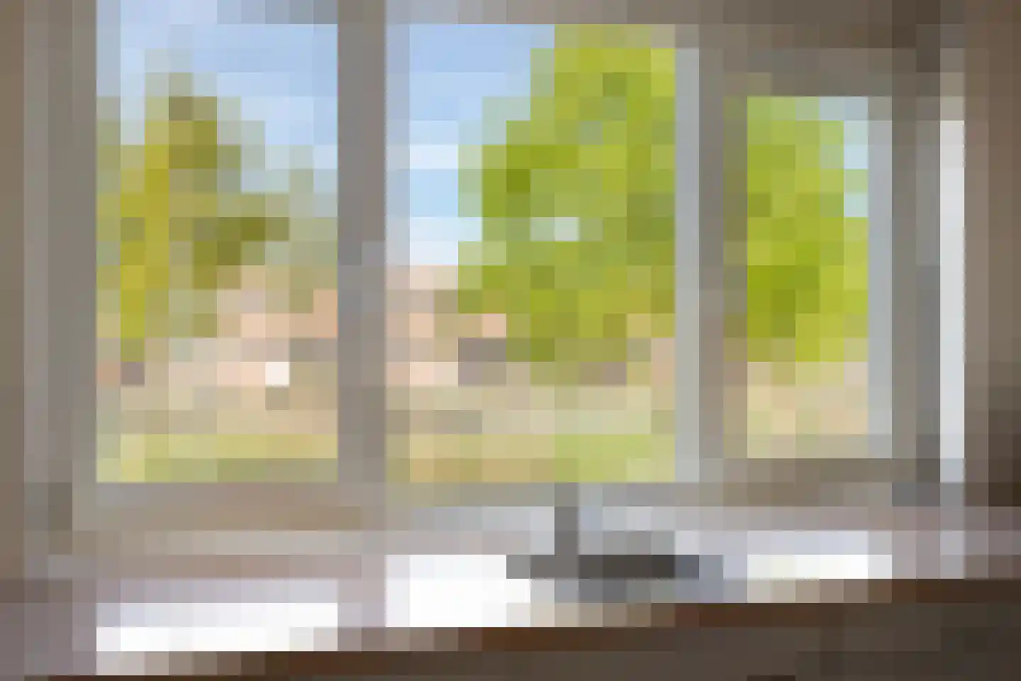 Koningsvaren 10 Hendrik-Ido-Ambacht thumbnail 15