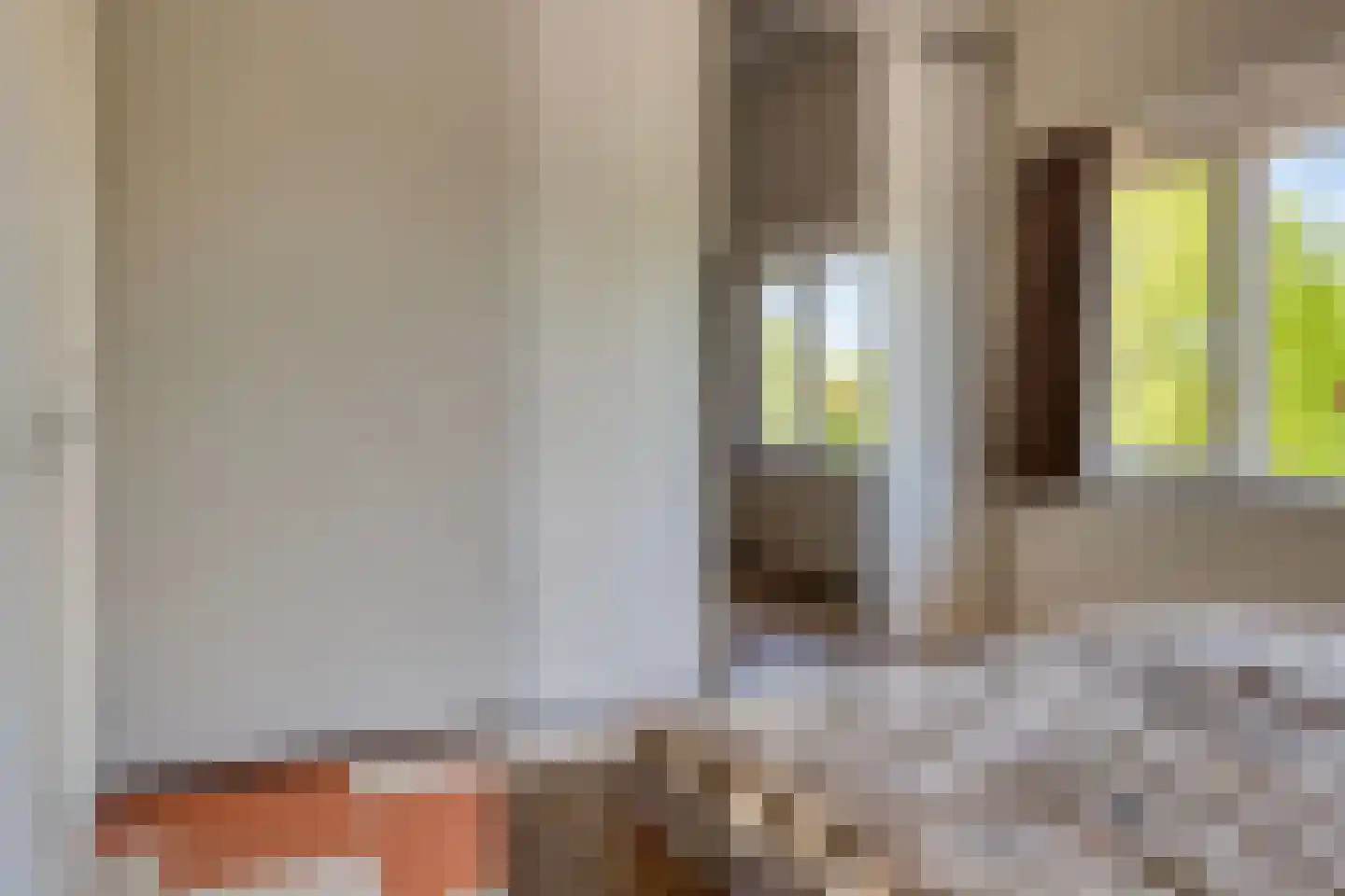 Koningsvaren 10 Hendrik-Ido-Ambacht thumbnail 19