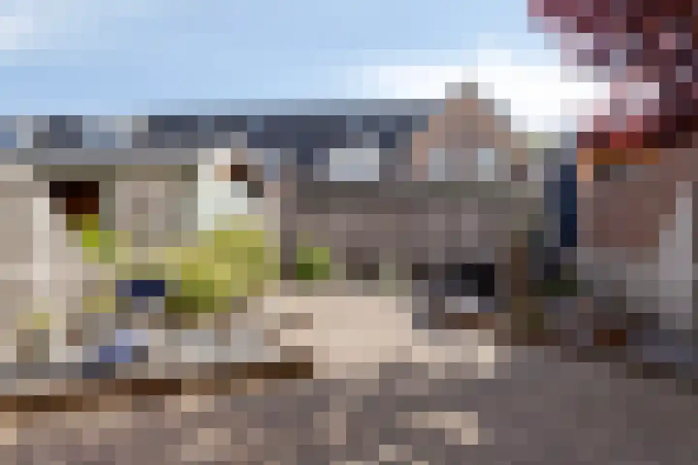 Koningsvaren 10 Hendrik-Ido-Ambacht thumbnail 25