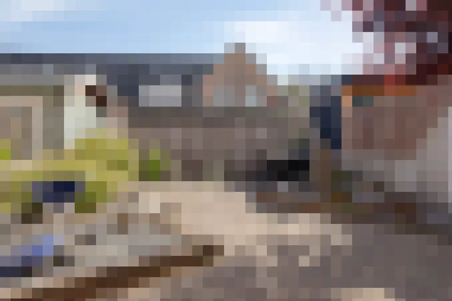 Koningsvaren 10 Hendrik-Ido-Ambacht thumbnail 26
