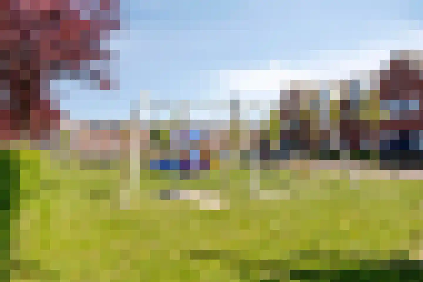 Koningsvaren 10 Hendrik-Ido-Ambacht thumbnail 30