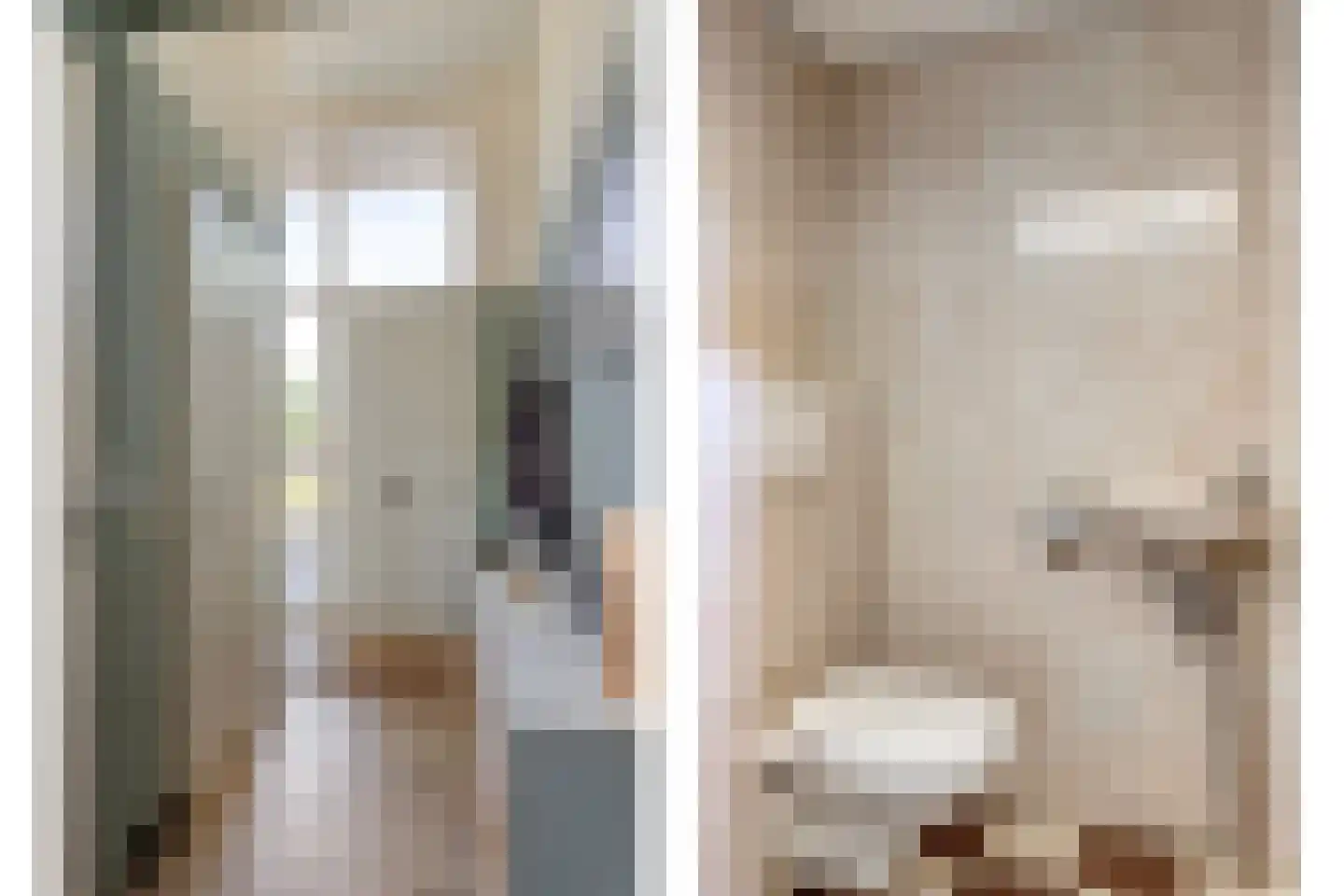 Koningsvaren 10 Hendrik-Ido-Ambacht thumbnail 6