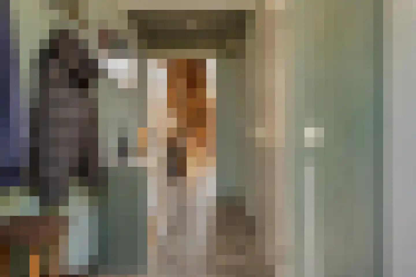 Koningsvaren 10 Hendrik-Ido-Ambacht thumbnail 7