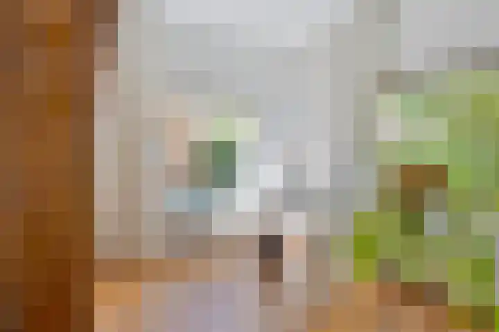 Koningsvaren 105 Abcoude thumbnail 11