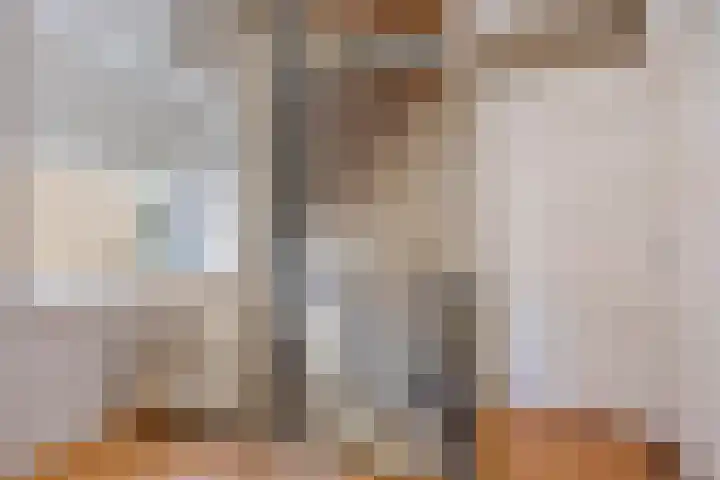 Koningsvaren 105 Abcoude thumbnail 18