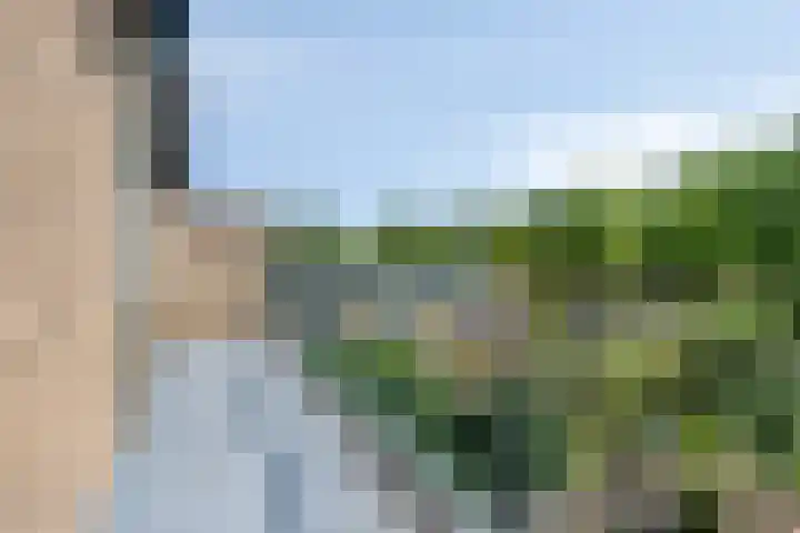 Koningsvaren 105 Abcoude thumbnail 20