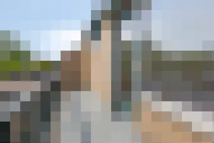 Koningsvaren 105 Abcoude thumbnail 21