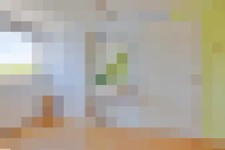 Koningsvaren 105 Abcoude thumbnail 30