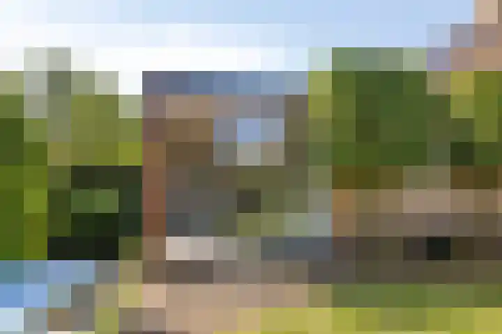 Koningsvaren 105 Abcoude thumbnail 32