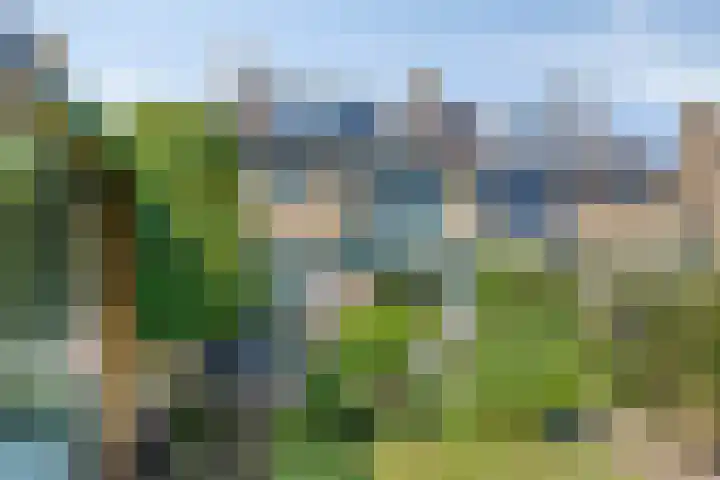 Koningsvaren 105 Abcoude thumbnail 34