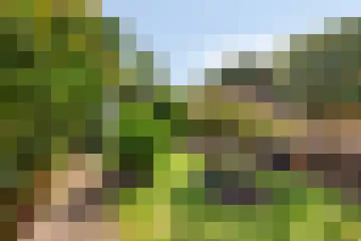 Koningsvaren 105 Abcoude thumbnail 35