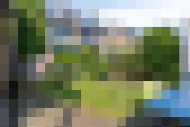 Koningsvaren 105 Abcoude thumbnail 36