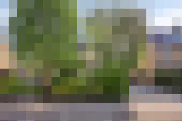 Koningsvaren 105 Abcoude thumbnail 37