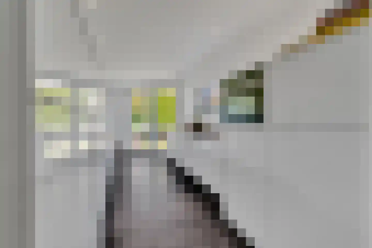 Koningsvaren 12 Nijverdal thumbnail 12