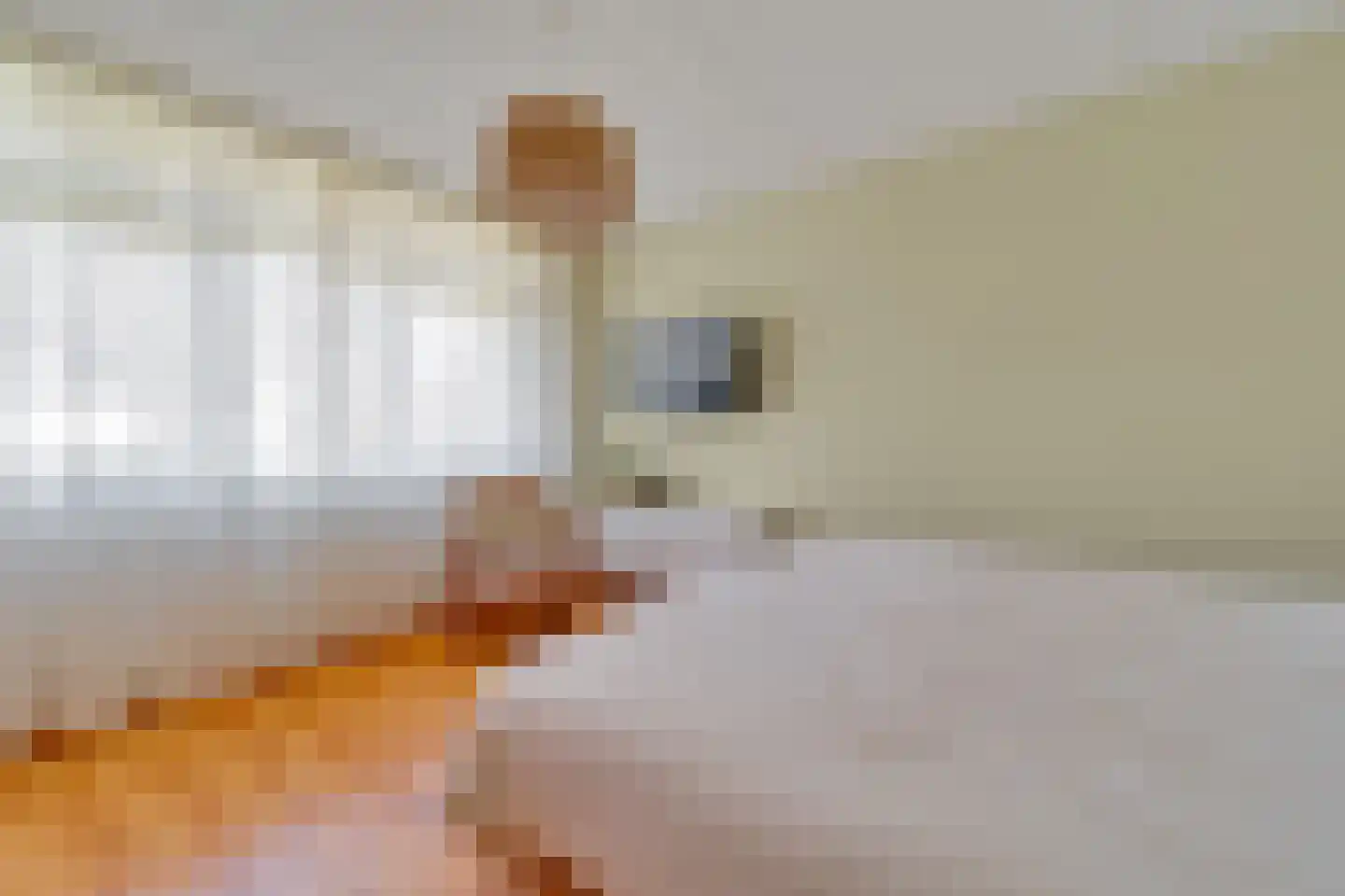 Koningsvaren 12 Nijverdal thumbnail 16