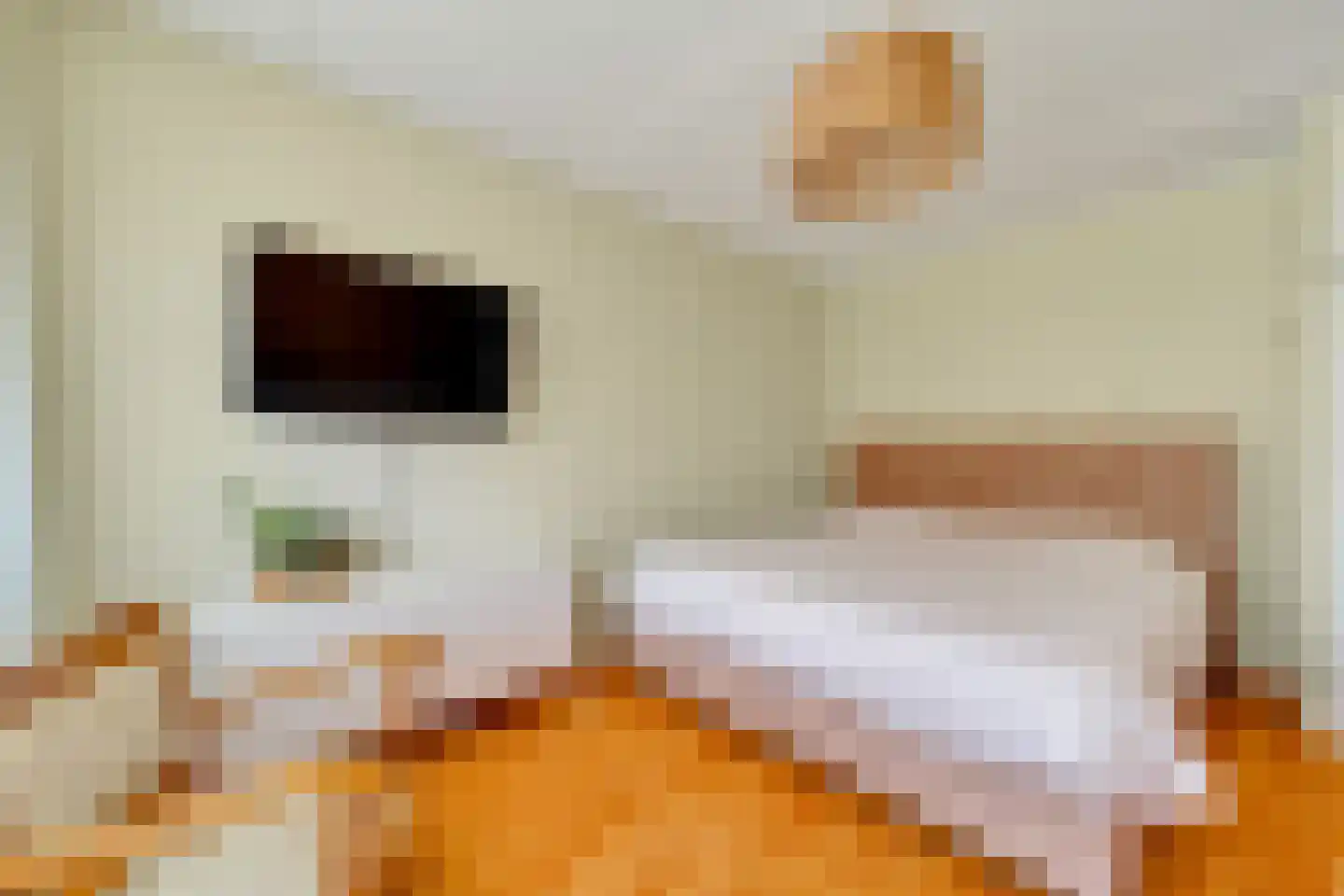 Koningsvaren 12 Nijverdal thumbnail 17