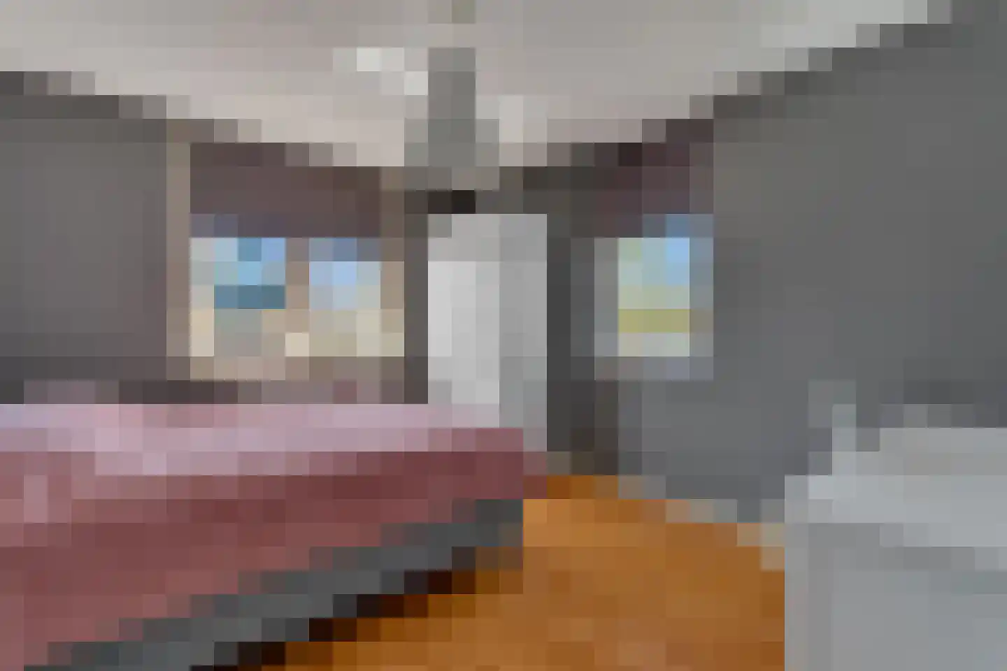 Koningsvaren 12 Nijverdal thumbnail 19