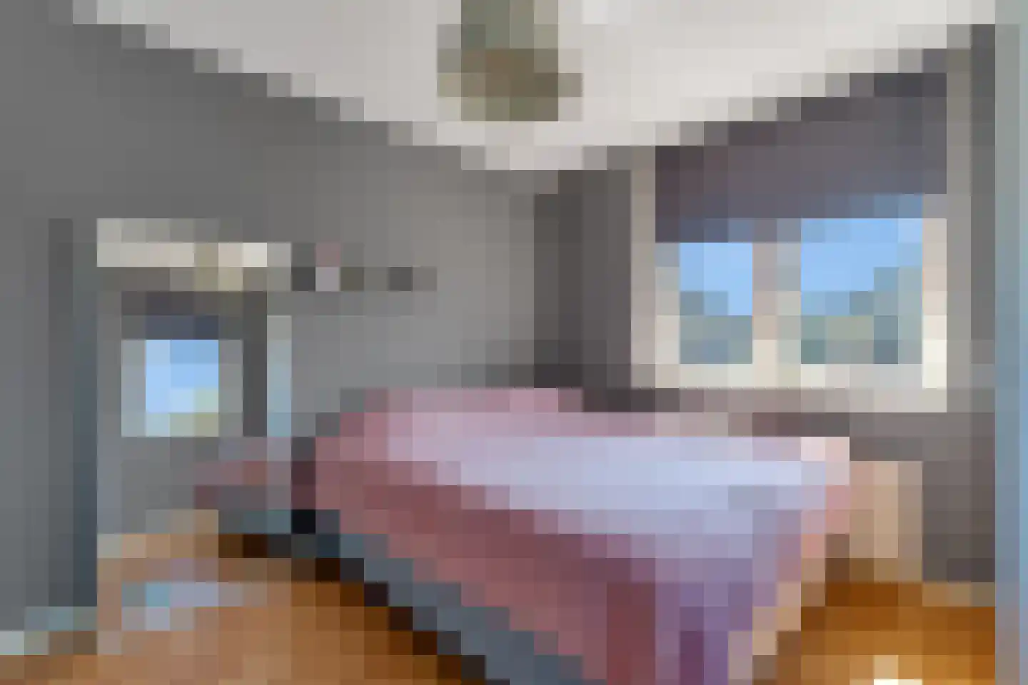 Koningsvaren 12 Nijverdal thumbnail 20