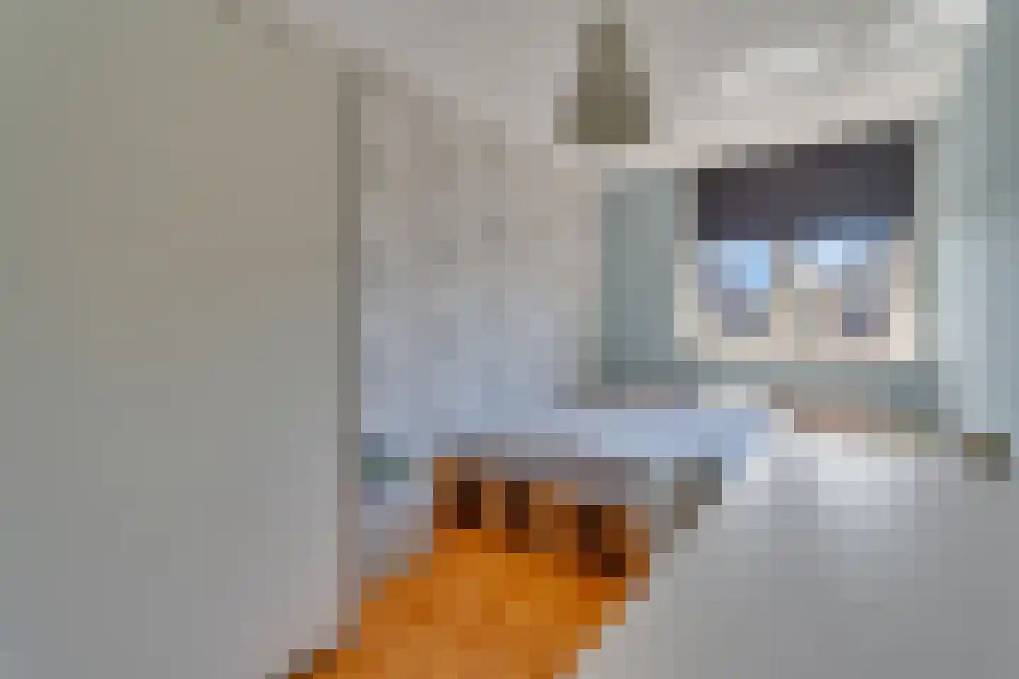 Koningsvaren 12 Nijverdal thumbnail 21